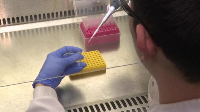 Κορωνοϊός: Διαγνωστικό τεστ αντιγόνων από επιστήμονες που δίνει αποτελέσματα σε 5 λεπτά